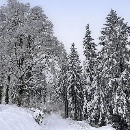 Alwin By Interhome Horská chata *