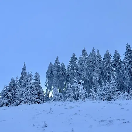 Alwin By Interhome *