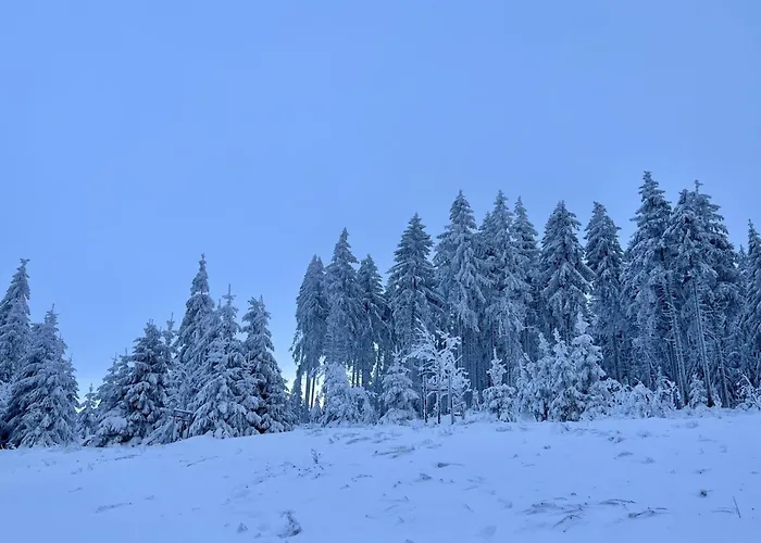 Alwin By Interhome *